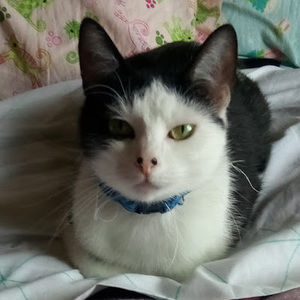 Meet your Posher, Anya